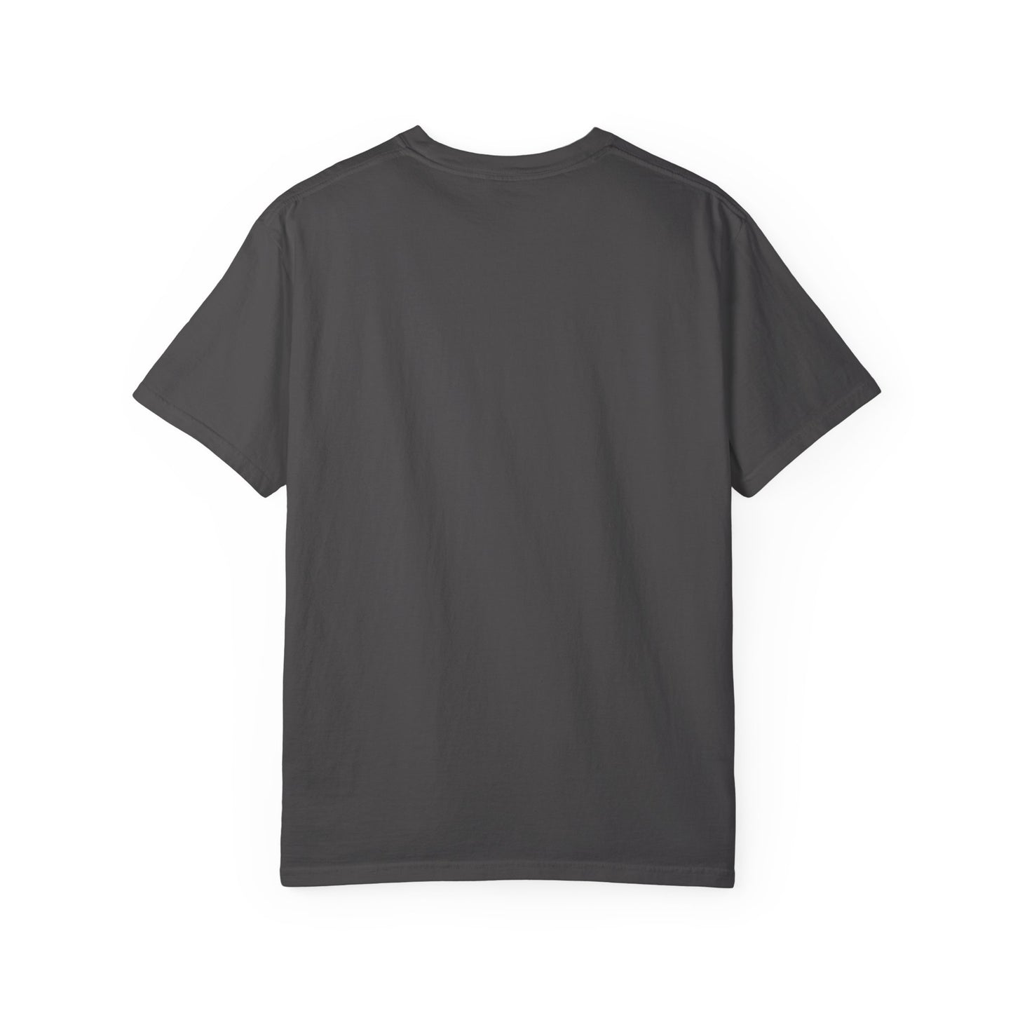 Stylish Unisex Garment-Dyed T-Shirt with Artistic Bird Print, Casual Wear, Graphic Tee, Gift for Bird Lovers, Streetwear
